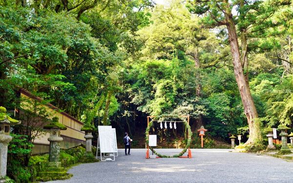 ▲▼宇佐神宮。（圖／部落客mika授權提供）