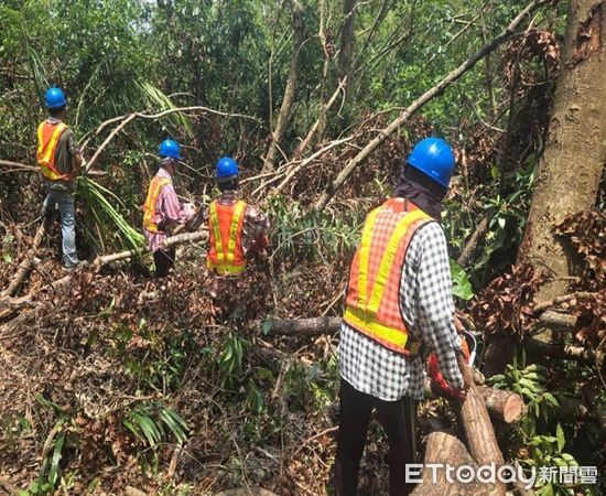 ▲▼    蘭潭後山主線步道延後至8月15日再評估是否開放  。（圖／嘉義市政府提供）