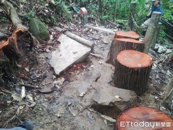 ▲▼    蘭潭後山主線步道延後至8月15日再評估是否開放  。（圖／嘉義市政府提供）