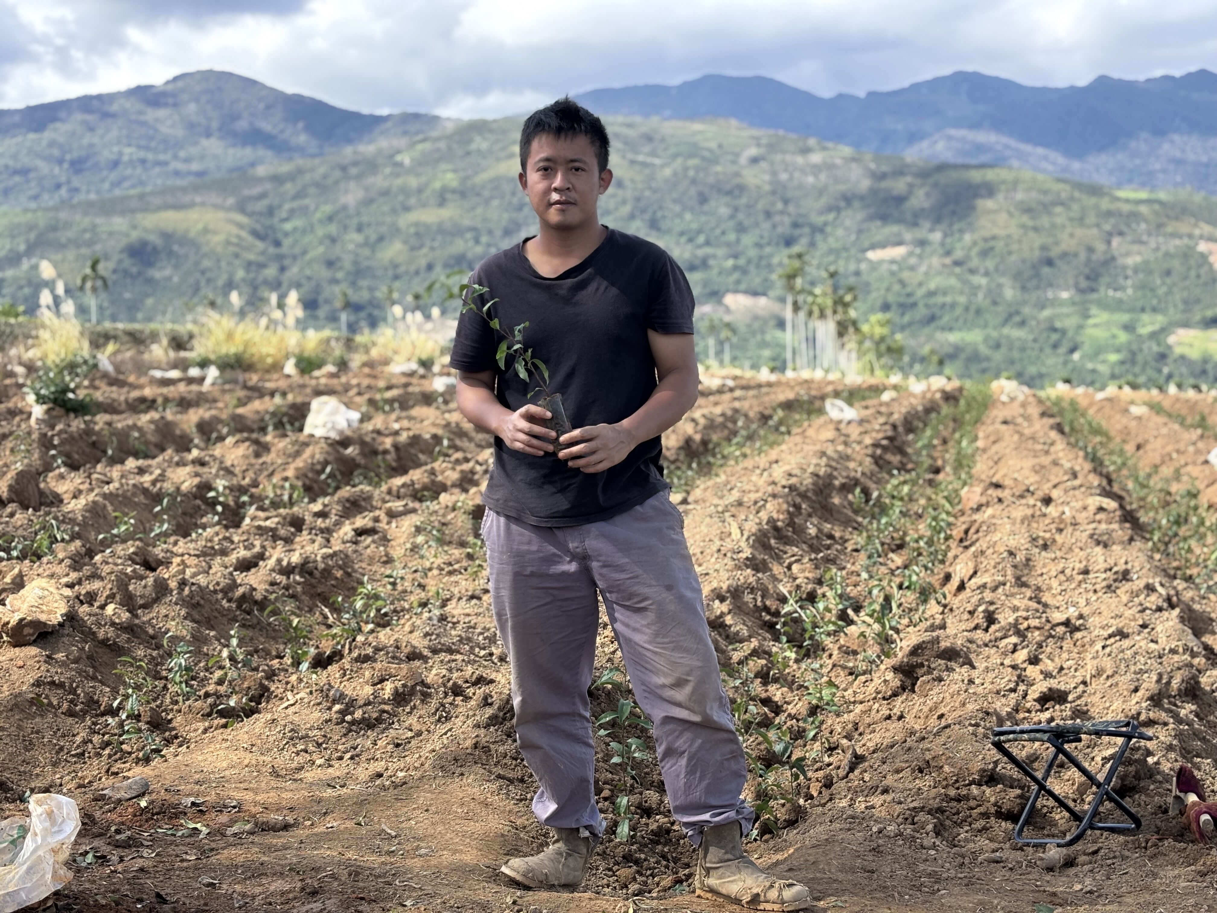 ▲▼花蓮,農產,蜜香紅茶,苦茶油,甜點,英國美食大賞。（圖／花蓮縣政府提供）