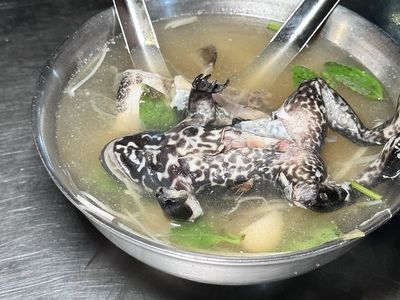 挑戰味蕾萬華「蒜頭青蛙湯」50年老攤