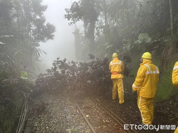 ▲▼  阿里山林鐵因西南風帶來豪雨 仍有多處崩落土石待清理，本線（嘉義-阿里山）持續停駛    。（圖／林鐵及文資處提供）