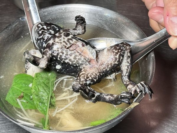 ▲▼蒜頭青蛙湯。（圖／部落客小虎食夢網授權提供）