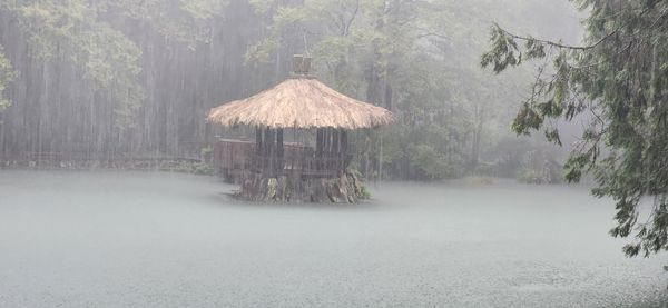 阿里山大雨。（圖／翻攝自Facebook／阿里山國家森林遊樂區）