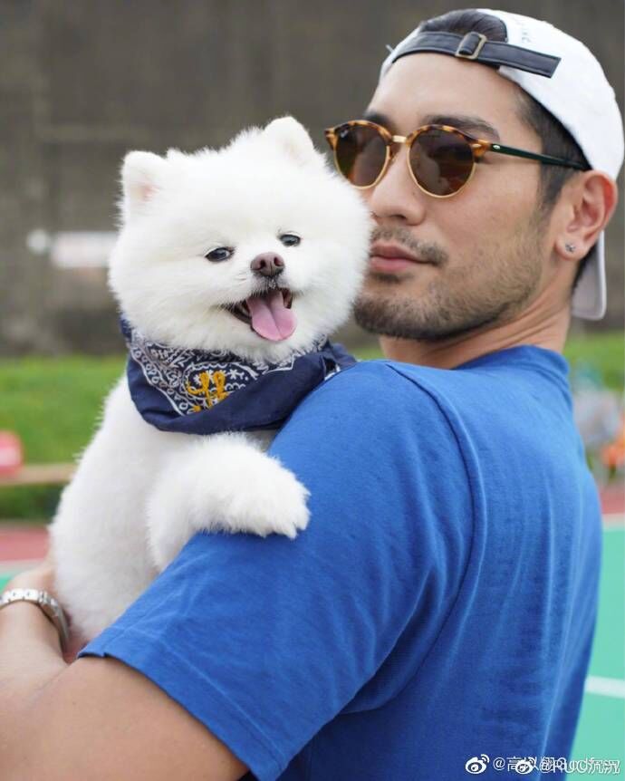 ▲▼高以翔愛犬離世！生前為毛孩開專屬帳號。（圖／翻攝自微博）