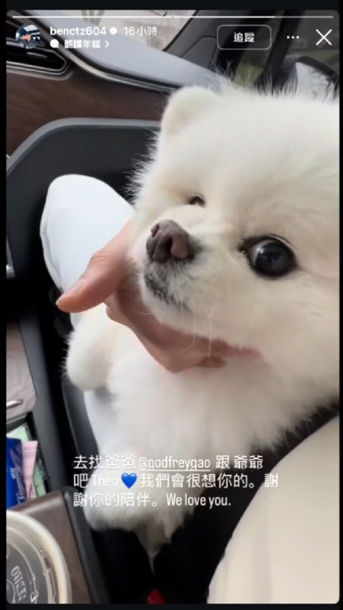 ▲▼高以翔愛犬離世！生前為毛孩開專屬帳號。（圖／翻攝自微博）