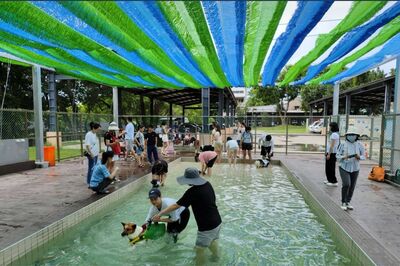 全台首座公立寵物戲水池8/1啟用