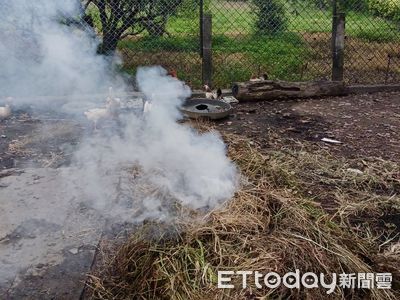 「PM2.5附著苯駢芘」恐成隱形殺手 醫示警:傷肺又傷腎