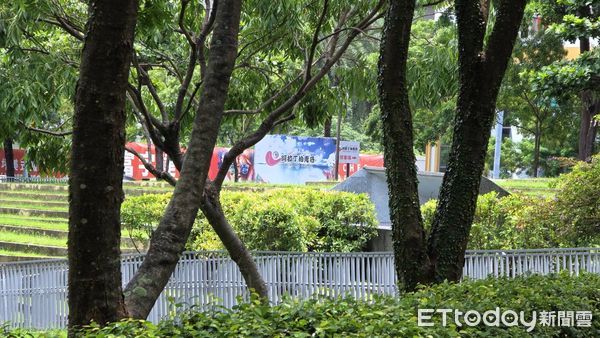 ▲▼  阿拉丁           。（圖／記者陳筱惠攝）