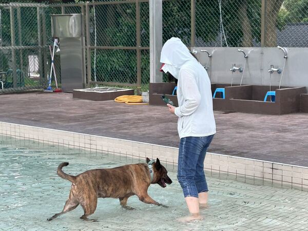 ▲南昌動物保護教育園區「公立寵物戲水池」8/1開放。（圖／桃園市動保處提供）