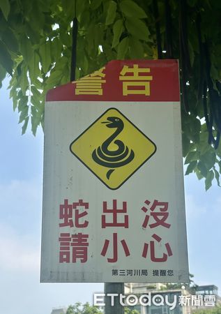▲▼霧峰山區驚傳有5隻狗狗被毒蛇咬中，其中有2隻不幸死亡。（黑皮狗狗山友善動物協會提供）