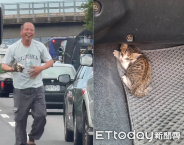 救貓天使大叔是他！　透露發現過程「很多駕駛幫掩護」