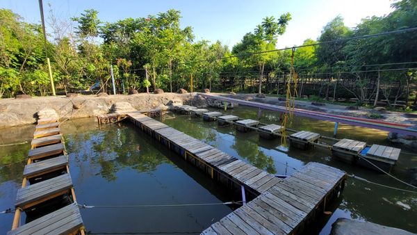 ▲「台灣地景花園」2023年8月熄燈後令大批網友不捨。然而，日前由新團隊進駐，並於上個月中悄悄回歸，更名為「野趣森林」。（圖／翻攝自Facebook／野趣森林）