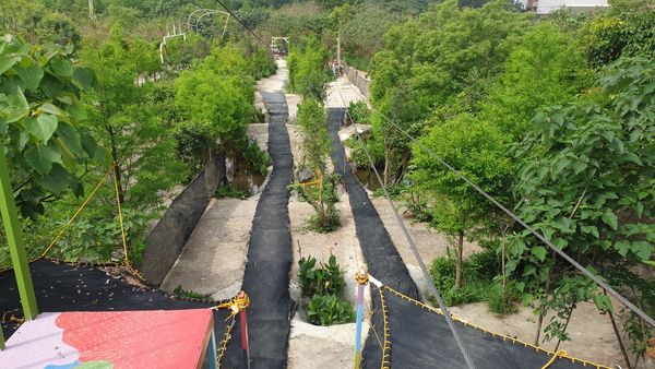 ▲「台灣地景花園」2023年8月熄燈後令大批網友不捨。然而，日前由新團隊進駐，並於上個月中悄悄回歸，更名為「野趣森林」。（圖／翻攝自Facebook／野趣森林）