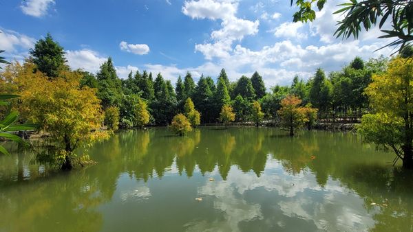 ▲「台灣地景花園」2023年8月熄燈後令大批網友不捨。然而，日前由新團隊進駐，並於上個月中悄悄回歸，更名為「野趣森林」。（圖／翻攝自Facebook／野趣森林）