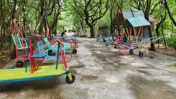 ▲「台灣地景花園」2023年8月熄燈後令大批網友不捨。然而，日前由新團隊進駐，並於上個月中悄悄回歸，更名為「野趣森林」。（圖／翻攝自Facebook／野趣森林）