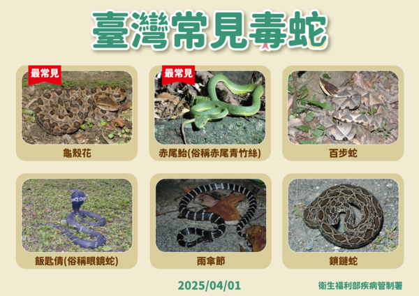 ▲▼疾管署提醒8月為國內毒蛇咬傷及抗蛇毒血清使用最高峰。（圖／疾管署提供）