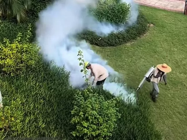 ▲▼屈公病確診破6000例！廣東「破門滅蚊」居民氣炸。（圖／翻攝微博）