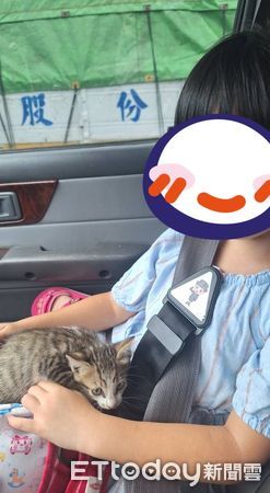 塞車救貓。（圖／王先生提供）