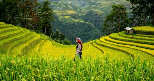 8月7日立秋到！命理師曝「7大禁忌」　點名1食物少碰