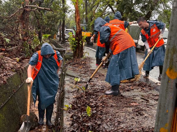 ▲▼民進黨志工隊前往災區，送募集物資、協助處理復原。（圖／民進黨中央提供）