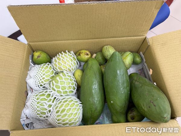 ▲鄉民特地從台東郵寄水果箱給台西公所社會課承辦人。（圖／記者游瓊華翻攝）