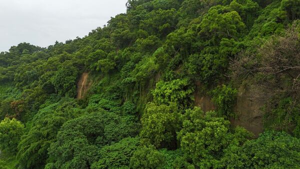 ▲彰師大宿舍後方今天下午傳出有土石滑落現象。（圖／彰化縣政府提供）