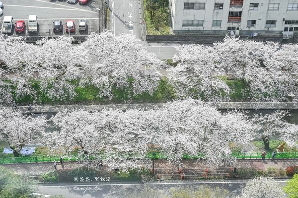 ▲▼富山市役所展望台，市中心絕佳360度景觀眺望立山連峰。（圖／部落客周花花提供）