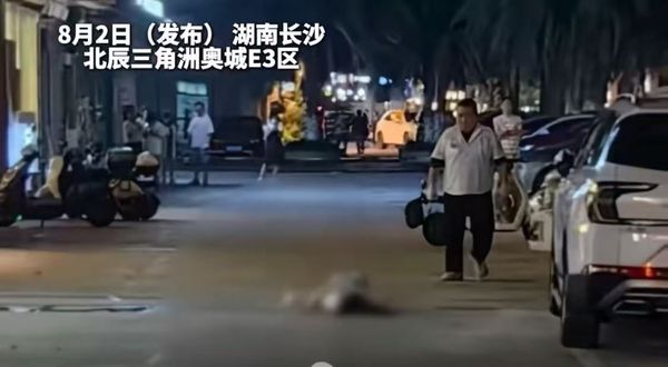 ▲▼  男友哀悼女友、高空墜物砸死女主播           。（圖／翻攝 抖音）