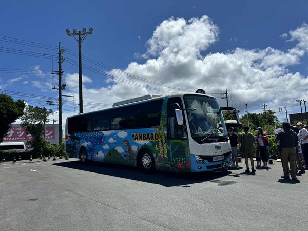 ▲▼沖繩叢林樂園接駁車。（圖／妮可魯的飛行日記臉書專頁授權提供，請勿翻攝）