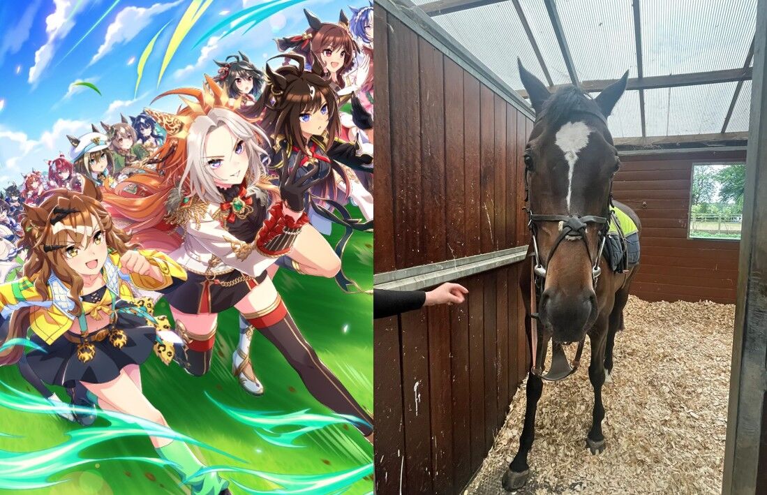 ▲▼賽馬娘。（圖／翻攝自Reddit）