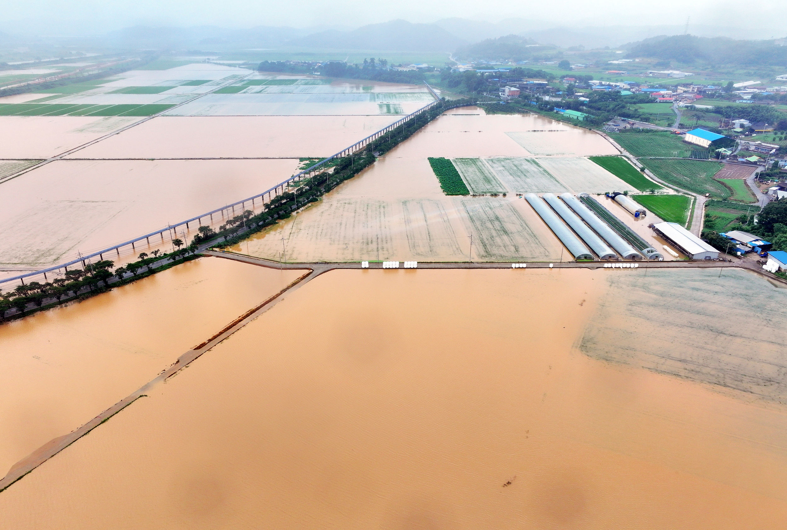 ▲▼南韓全羅南道咸平郡農田慘遭洪水和泥流淹沒。（圖／VCG）