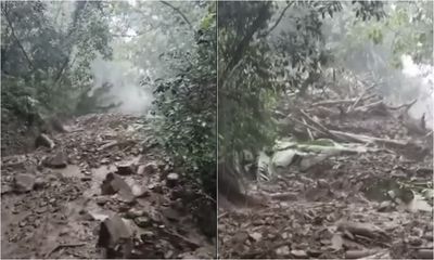 阿里山修路遇「恐怖土石流」第一人稱視角曝！大票冷汗：快逃