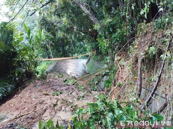 ▲大坑步道。（圖／台中市風景管理所）