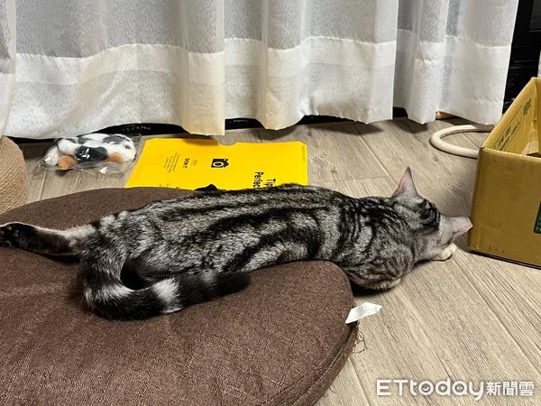 ▲。（圖／Threads@toby250215）