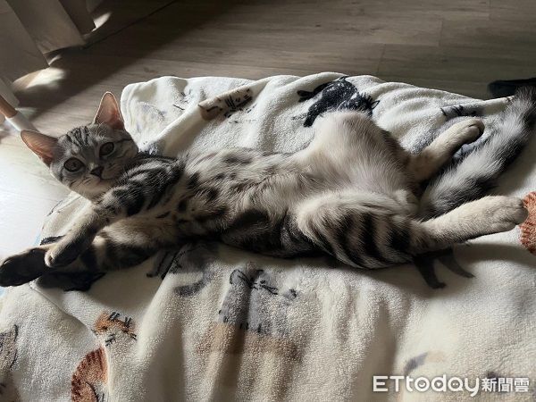 ▲。（圖／Threads@toby250215）