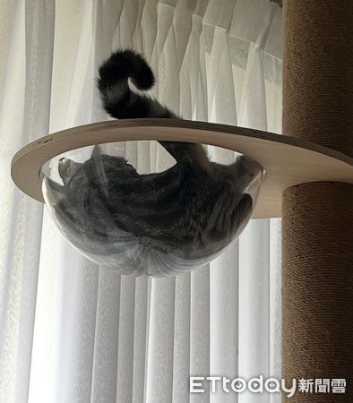 ▲。（圖／Threads@toby250215）