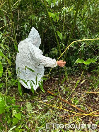 ▲▼             嘉義縣阿里山鄉一名婦人疑似溺水失蹤，警消搜救中。（圖／記者翁伊森翻攝，下同）