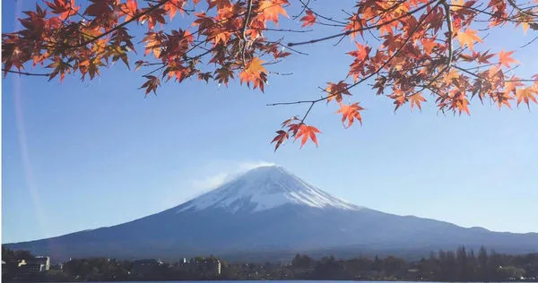 日旅達人曝出國刷卡一定要選當地貨幣。（示意圖／Pexels）