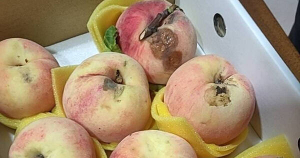 水蜜桃開箱後一堆爛果。（圖／翻攝自臉書社團《爆怨2公社》）