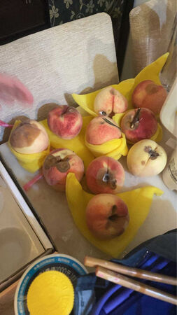 水蜜桃開箱後一堆爛果。（圖／翻攝自臉書社團《爆怨2公社》）