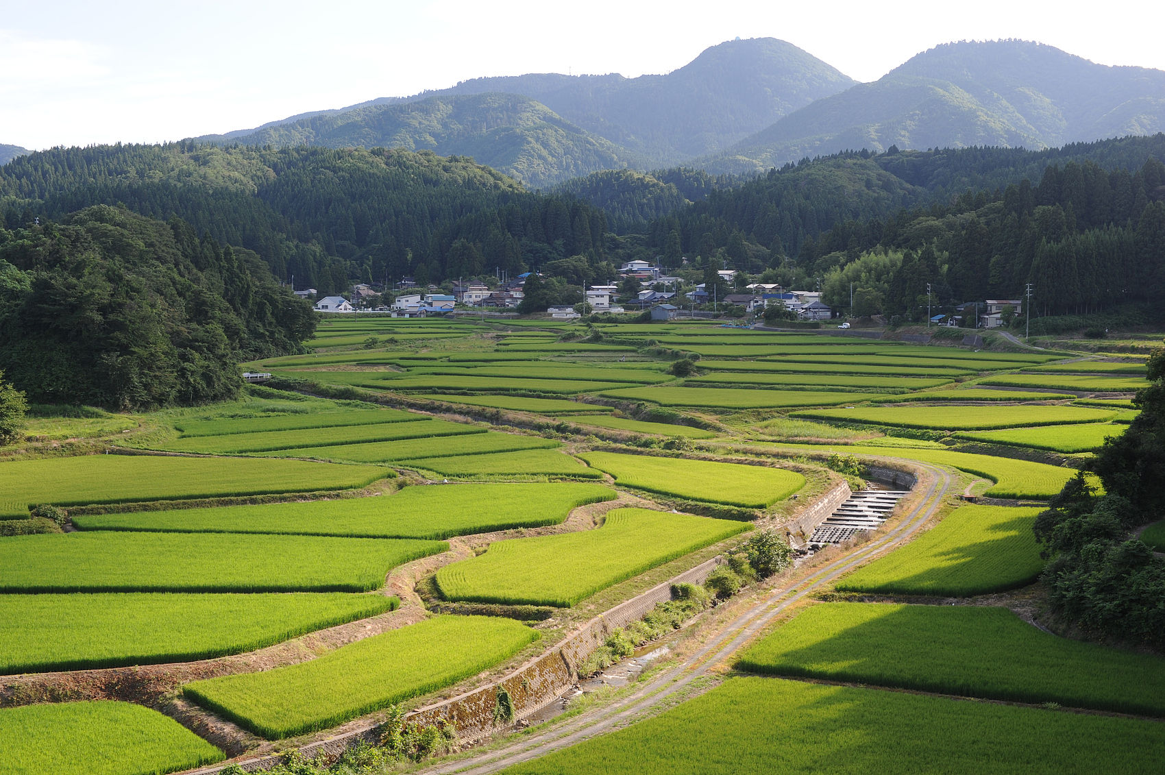 ▲▼位於日本東北地方秋田縣的農田。（圖／VCG）