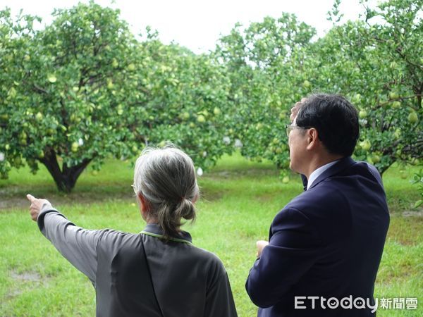 ▲▼             。（圖／記者黃宥寧翻攝）