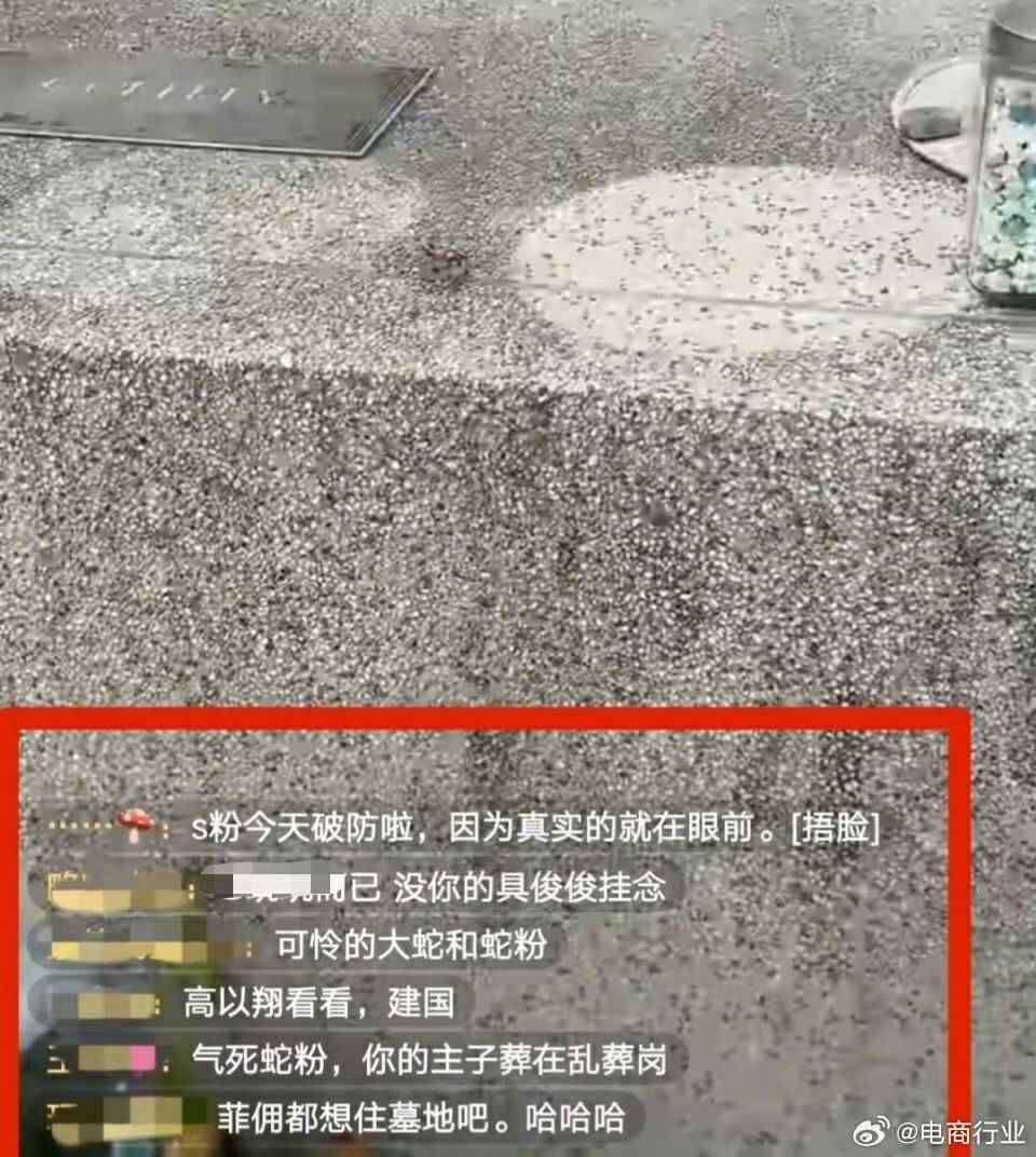 ▲▼台網紅去大S墓地直播，被認出是張蘭粉絲。（圖／翻攝自微博）