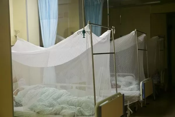 ▲屈公病,基孔肯雅熱,佛山。（圖／CFP）