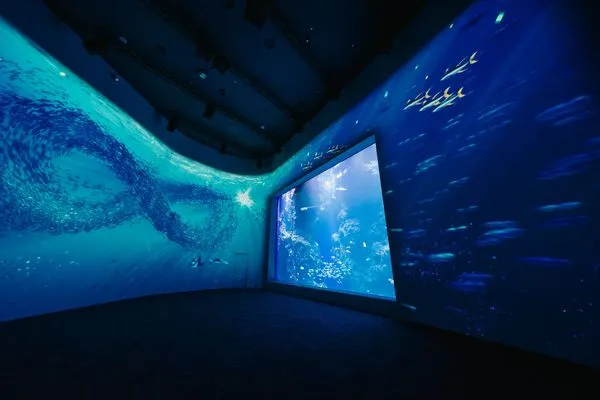 ▲台中海洋館。（圖／業者提供）