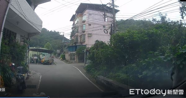 汐止小狗被撞死。（圖／新北市動保處提供）