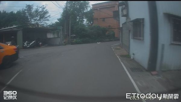 汐止小狗被撞死。（圖／新北市動保處提供）