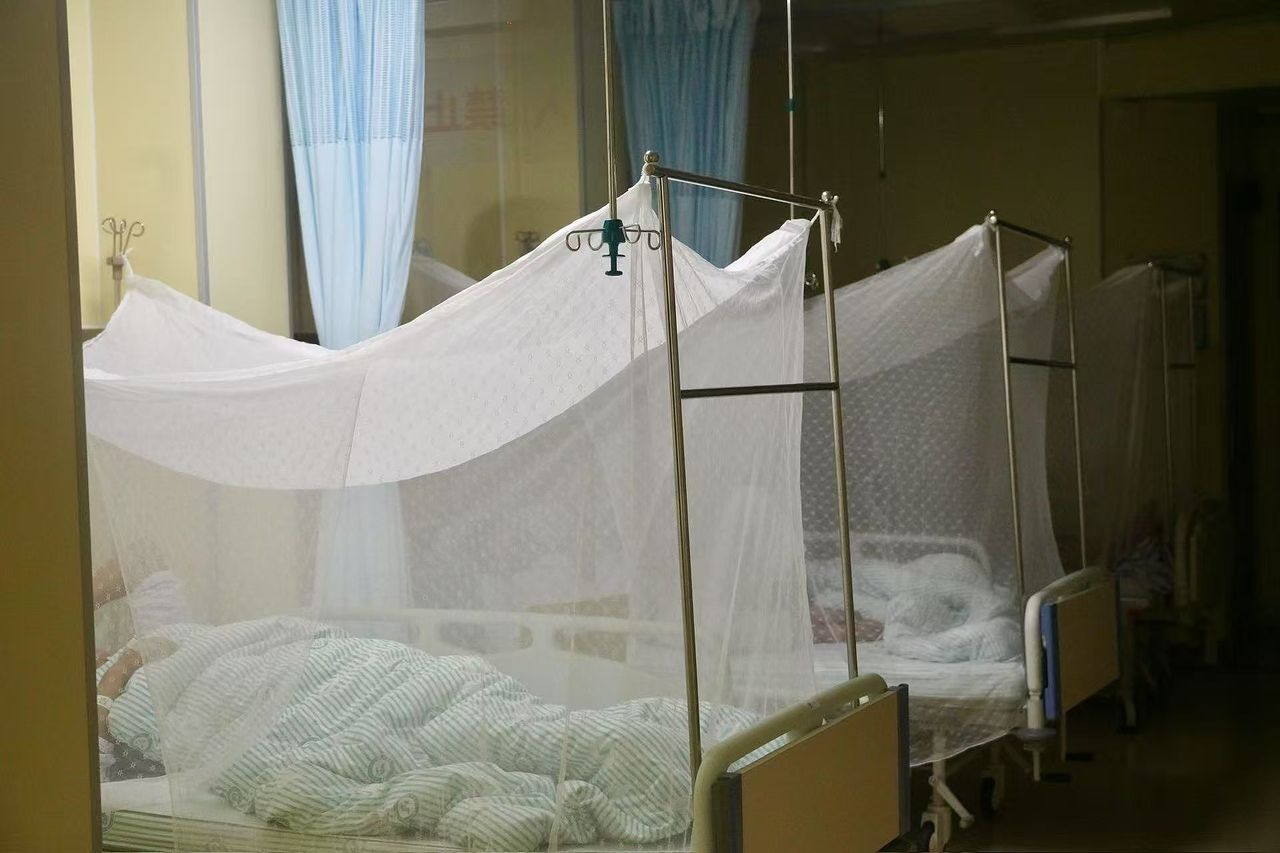 香港首例屈公病死亡患者　9天前從大陸回來