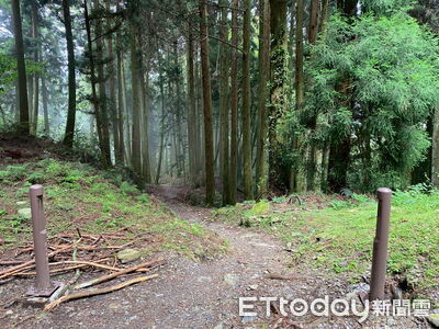 保護玉山杜鵑美景助環境永續 合歡東峰步道設人流計數器